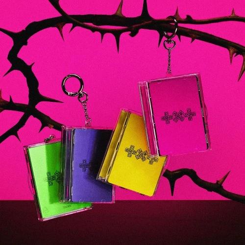 [Apple Bonus][SET/Album 4 EA] TOMORROW X TOGETHER (TXT) - TOMORROW X TOGETHER 7TH YEAR: When the Wind Stops for a Moment in the Thorn Bush (Photocard Case Ver.)