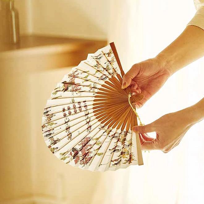 Folding Fan (from Uigwe)