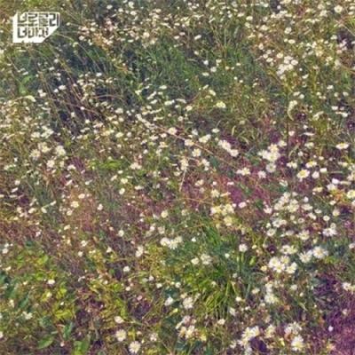Broccoli Norma Jeane - Single Album [Forget What You Need to Forget]