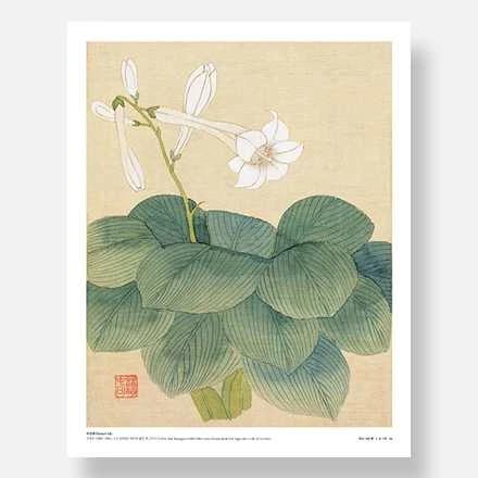 Calligraphy and Painting Art Print