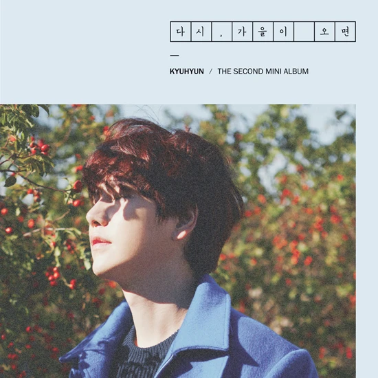 Kyuhyun - Mini Album 2 [When Autumn Comes Again]