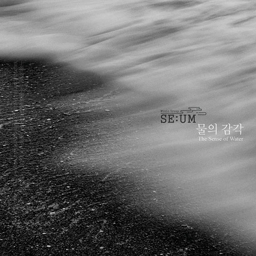 Music Group SE:UM - [The Sense of Water]