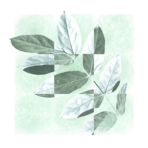 Park Jung Woong - EP [Summer]