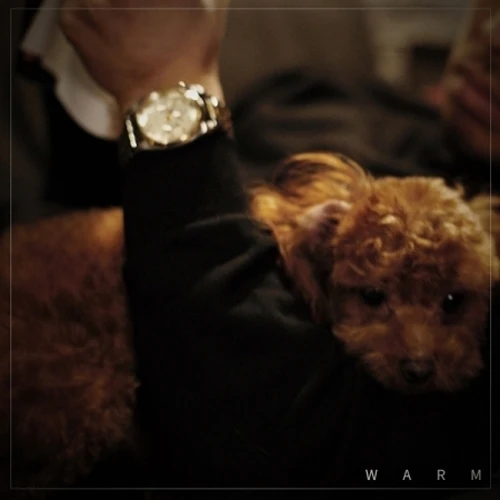 흑꼬 - WARM (Mini Album)