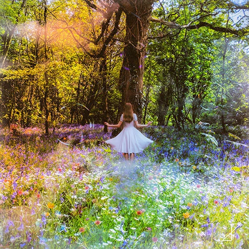 DAEDONG - EP [Dreamer's Garden]